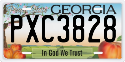 GA license plate PXC3828