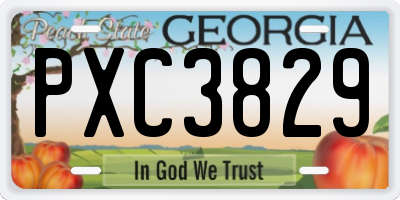 GA license plate PXC3829
