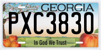 GA license plate PXC3830
