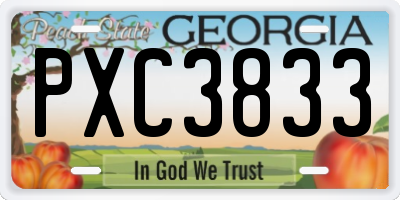GA license plate PXC3833