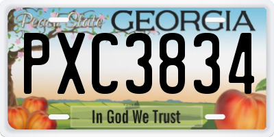 GA license plate PXC3834