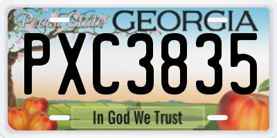 GA license plate PXC3835