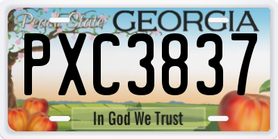 GA license plate PXC3837