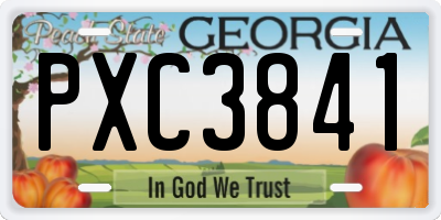 GA license plate PXC3841