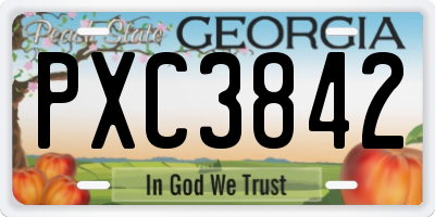 GA license plate PXC3842