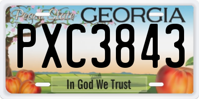 GA license plate PXC3843