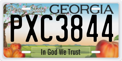 GA license plate PXC3844
