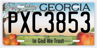 GA license plate PXC3853