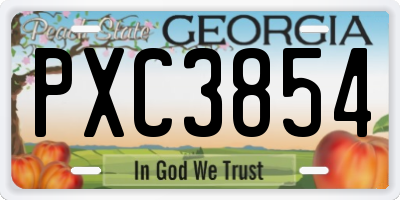 GA license plate PXC3854