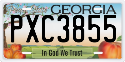 GA license plate PXC3855