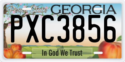 GA license plate PXC3856