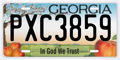 GA license plate PXC3859