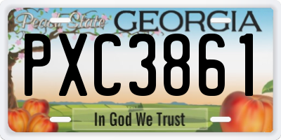 GA license plate PXC3861