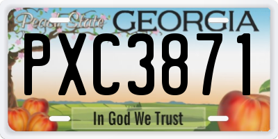 GA license plate PXC3871