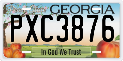 GA license plate PXC3876