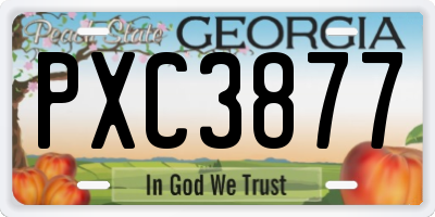 GA license plate PXC3877