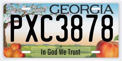 GA license plate PXC3878