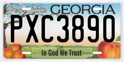 GA license plate PXC3890