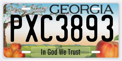 GA license plate PXC3893