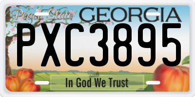 GA license plate PXC3895