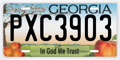 GA license plate PXC3903
