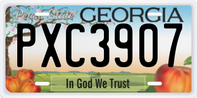 GA license plate PXC3907