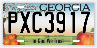 GA license plate PXC3917