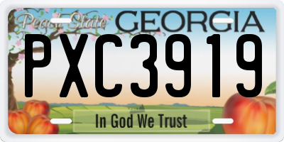 GA license plate PXC3919