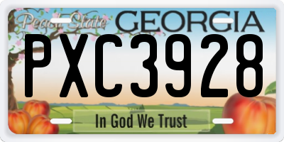 GA license plate PXC3928