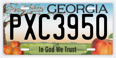 GA license plate PXC3950