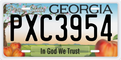 GA license plate PXC3954