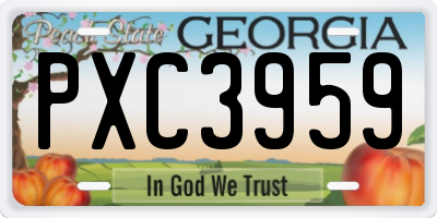 GA license plate PXC3959