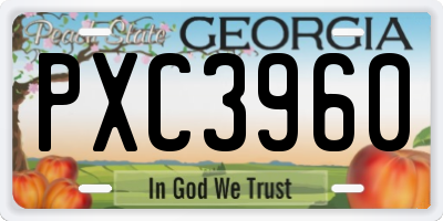 GA license plate PXC3960