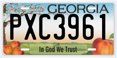 GA license plate PXC3961