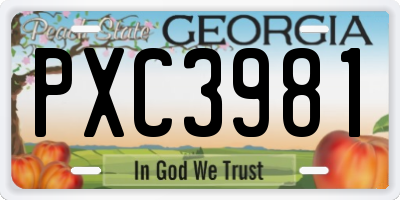 GA license plate PXC3981