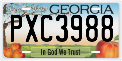 GA license plate PXC3988