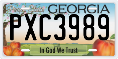 GA license plate PXC3989