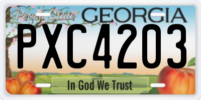 GA license plate PXC4203