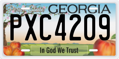 GA license plate PXC4209
