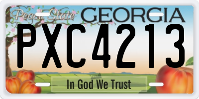 GA license plate PXC4213