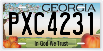 GA license plate PXC4231