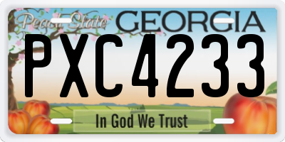 GA license plate PXC4233