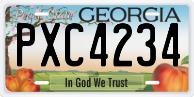 GA license plate PXC4234