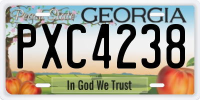 GA license plate PXC4238