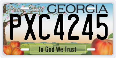 GA license plate PXC4245