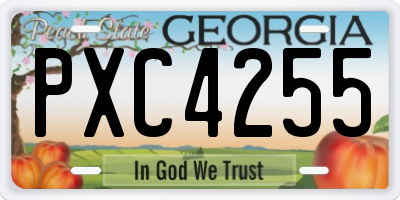 GA license plate PXC4255