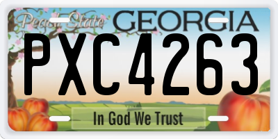 GA license plate PXC4263