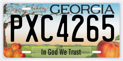 GA license plate PXC4265