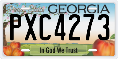 GA license plate PXC4273