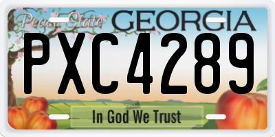 GA license plate PXC4289